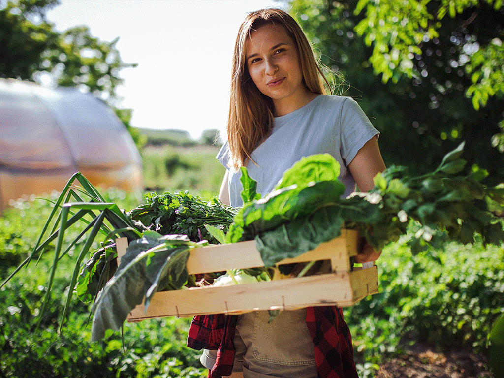 Boerin op het land met krat vol groene groenten