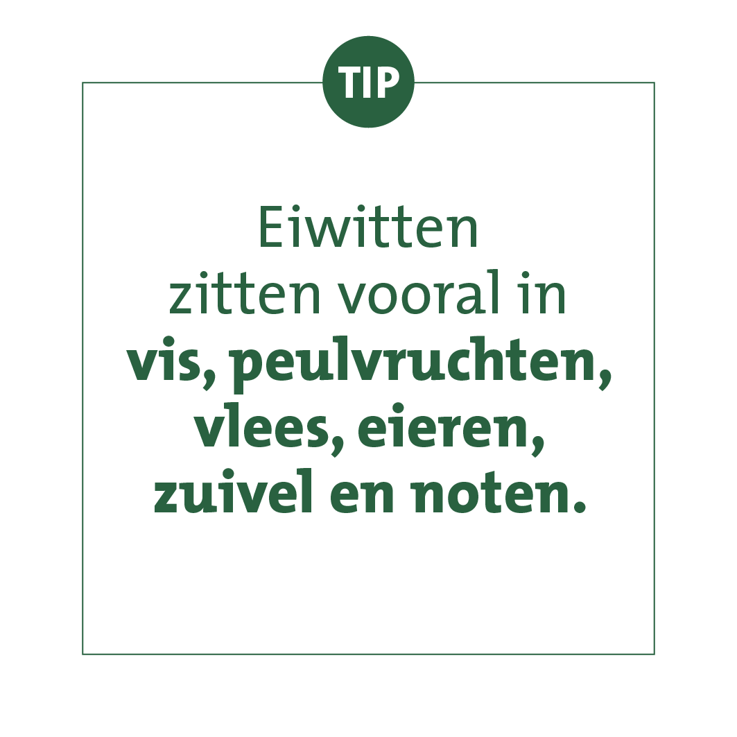Eiwitten zitten vooral in vis, peulvruchten, vlees, eieren, zuivel en noten.